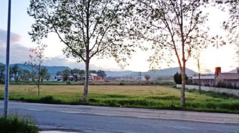 Terreny a la Torre d´en Franch, imatge 5