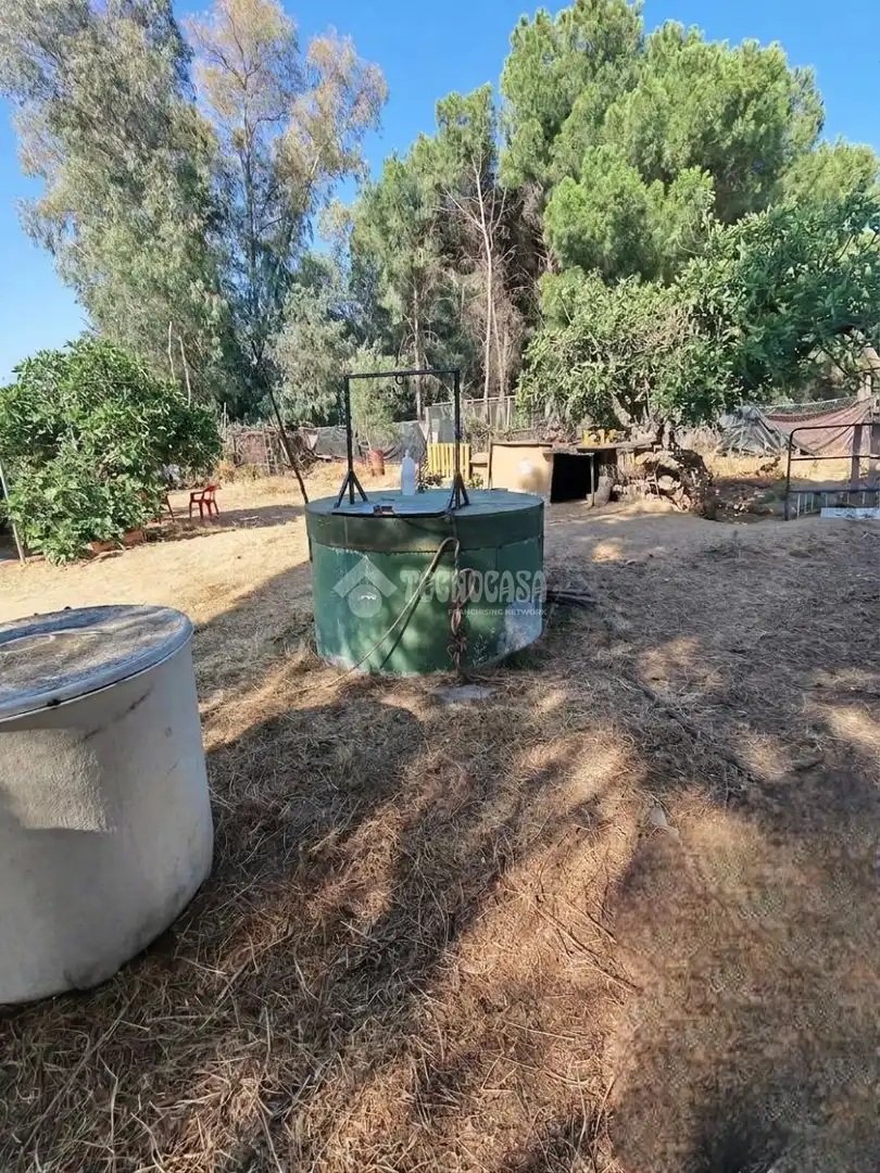 Terreno en venta en Marchena