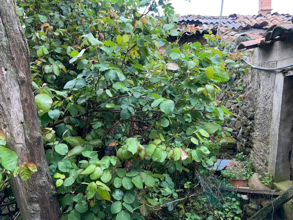 Finca rústica en venta en Villaseco del Pan