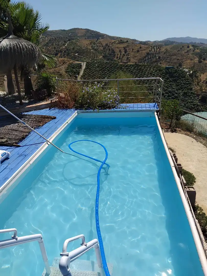 Haus mit Pool zum Verkauf in Plaza Del Trabajo, imagen 4