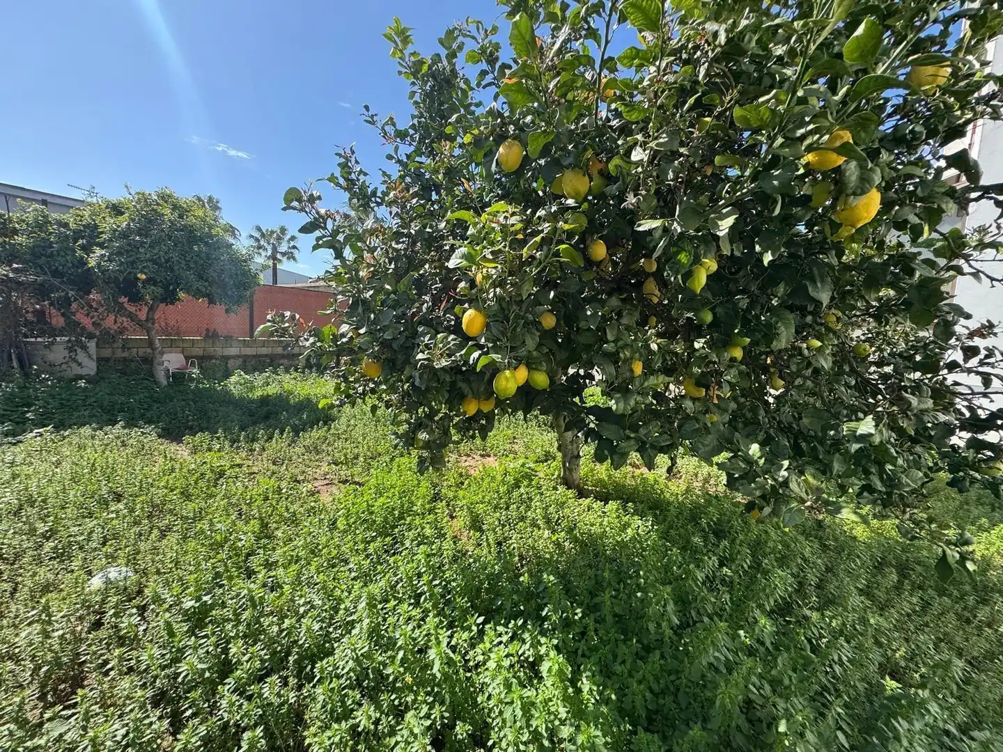 Villa mit Garten zum Verkauf in Calle MAR SERENA, imagen 36