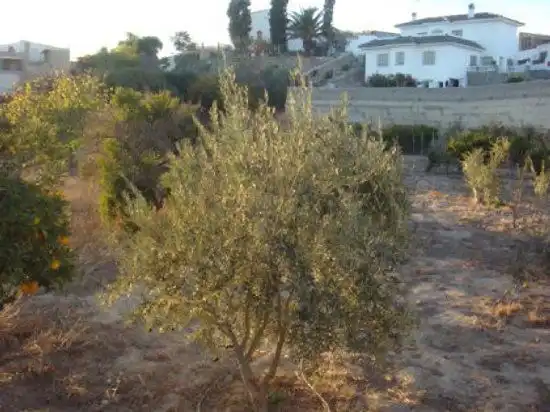 Terreno residencial en venta en Huércal-Overa, imagen 4