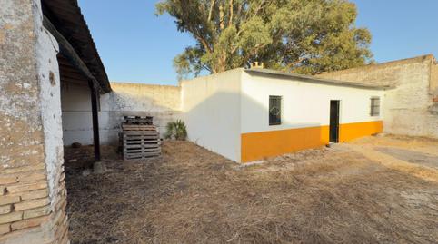 Foto 5 de Finca rústica en venda a Almonte ciudad, Almonte