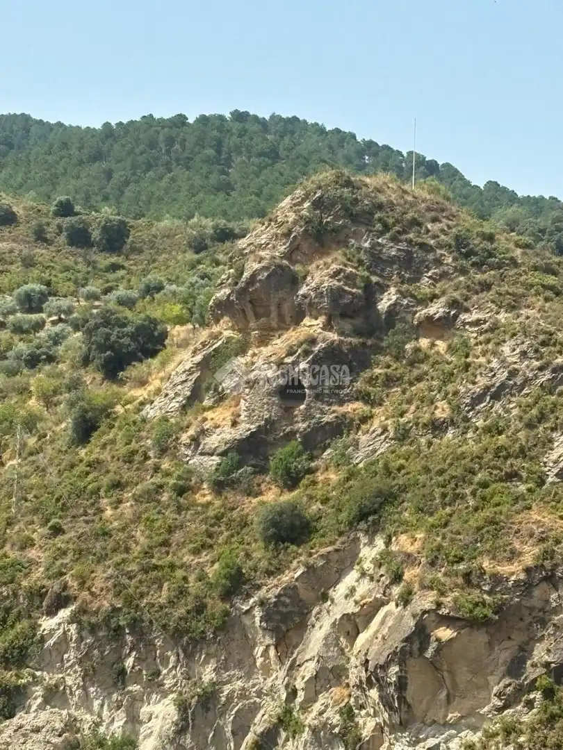 Land for sale in Quéntar