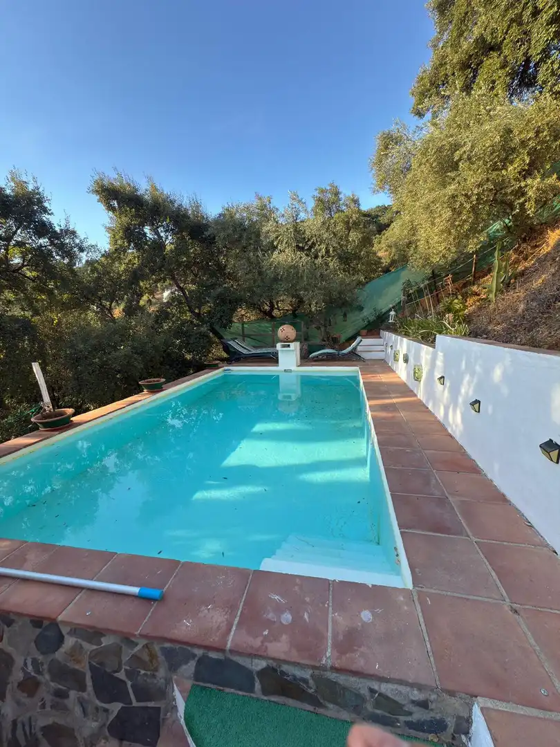 Piscina de Casa o xalet de lloguer en Genalguacil amb Terrassa
