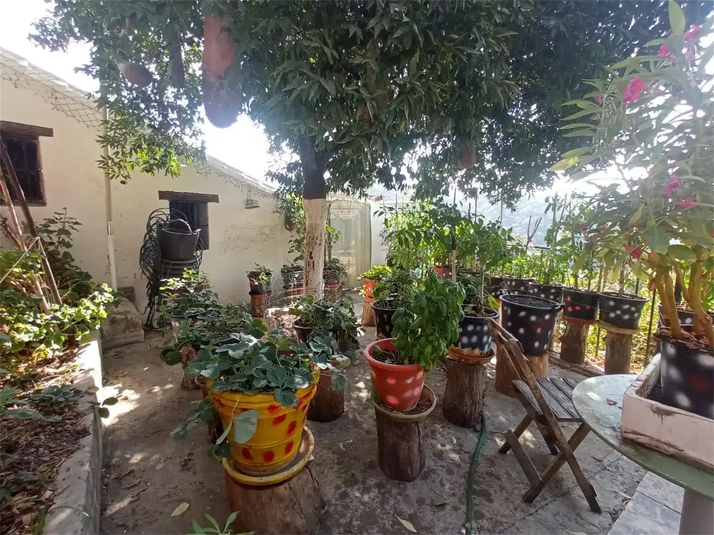 Terrassa de Finca rústica en venda en Genalguacil, Málaga