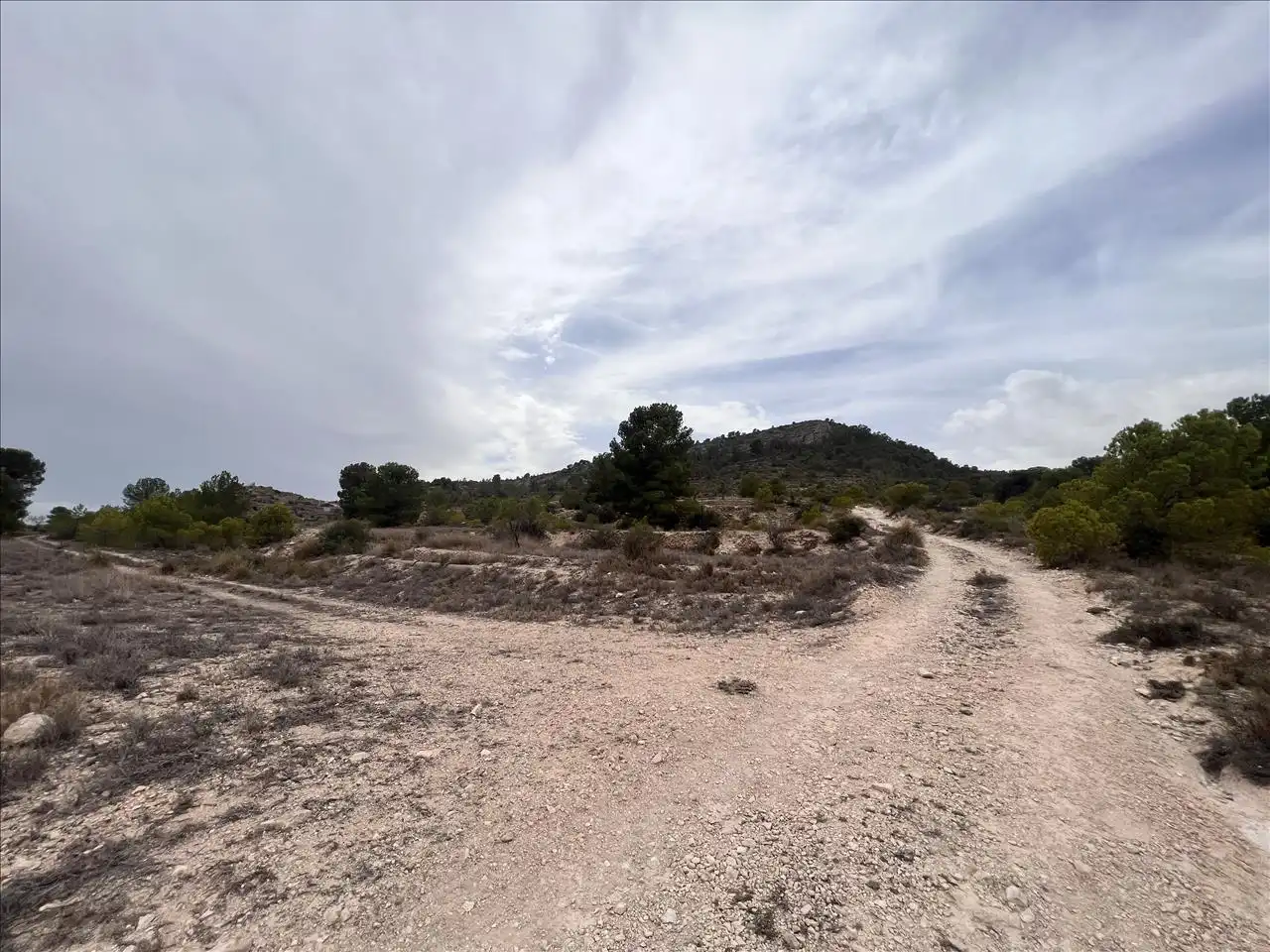 Residential land for sale in Proc. Simplificado, imagen 18