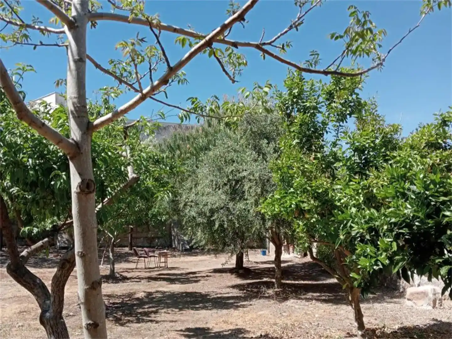 Jardín de Residencial en venta en Peraleda de la Mata