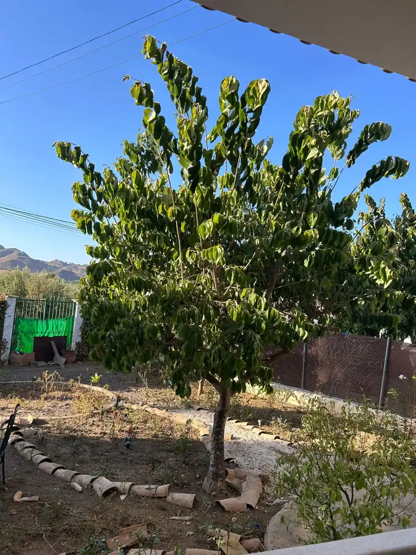 Chalet en venta en Cuesta El Palmar, imagen 48
