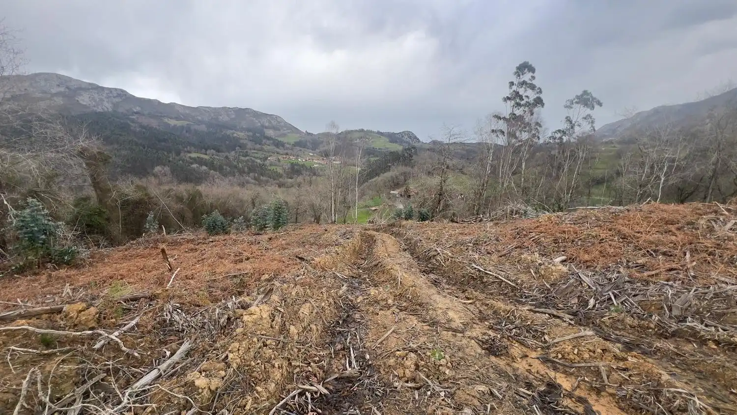 Residencial en venda en Llanes