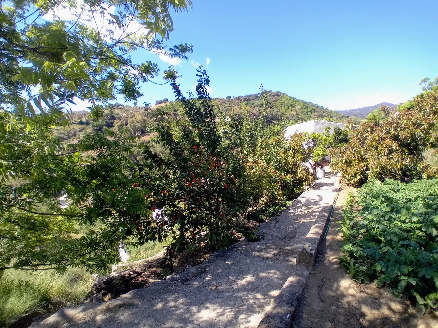 Casa rústica en venda a Yunquera, imagen 32