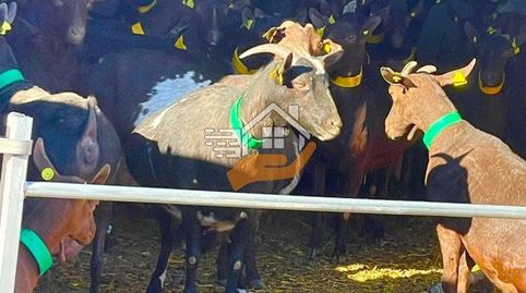 Nave Industrial en venta en VélezRubio., image 4