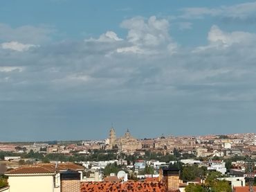 Xalet amb balcó en venda a Carbajosa de la Sagrada
