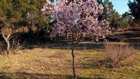 Garden of Country house for sale in Navata  with Private garden