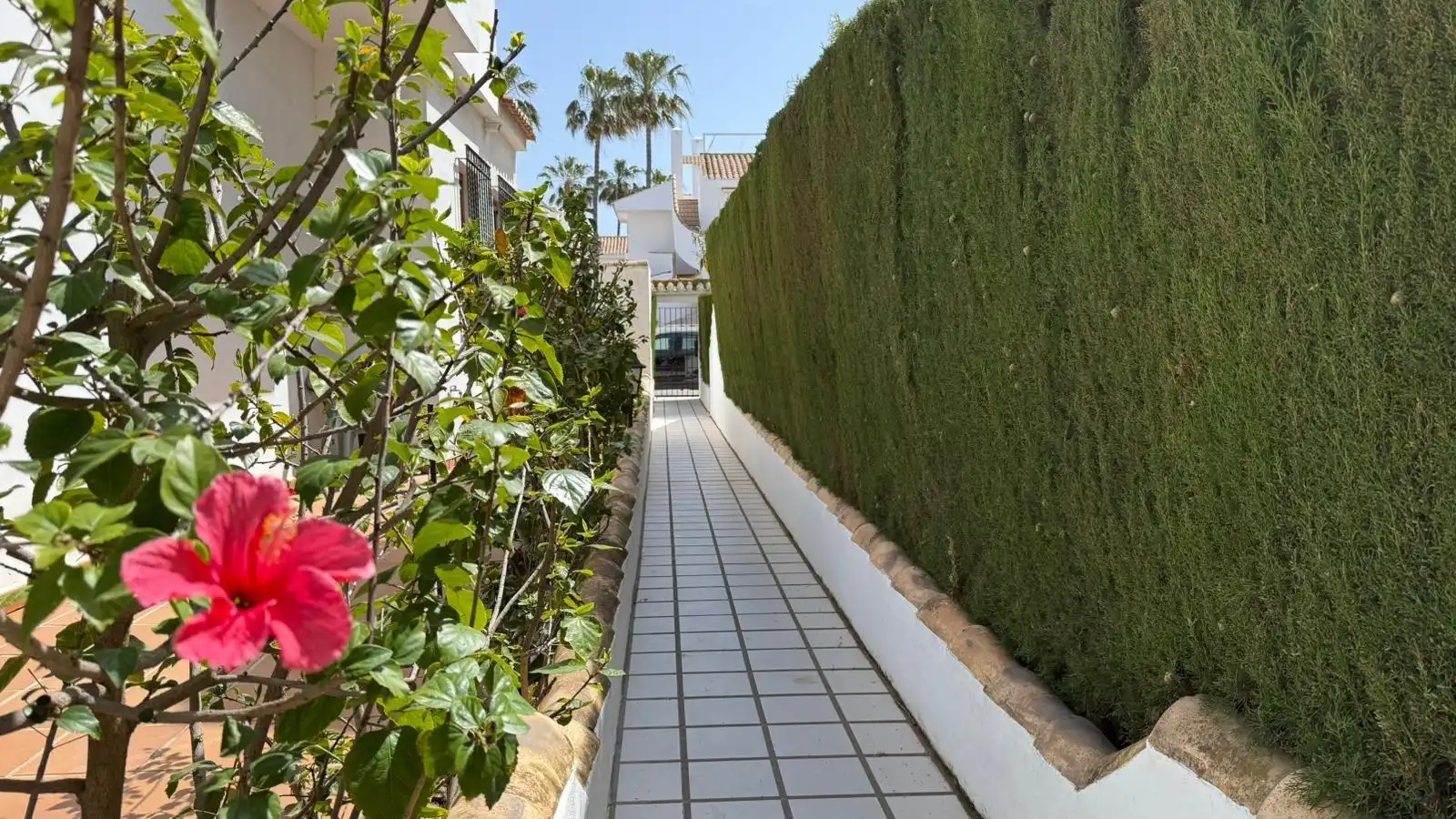 Exterior view of Detached homes for sale in Pilar de la Horadada  with Terrace, Furnished and Balcony
