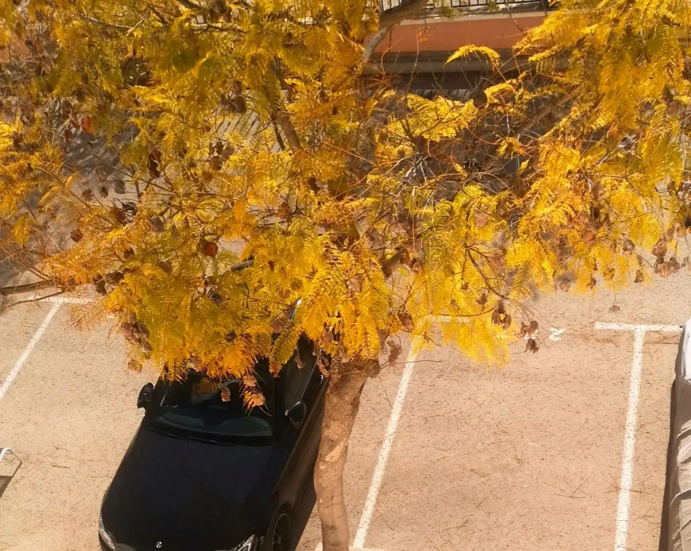 Aparcament de Àtic en venda en Alhama de Murcia amb Aire condicionat, Calefacció i Jardí privat