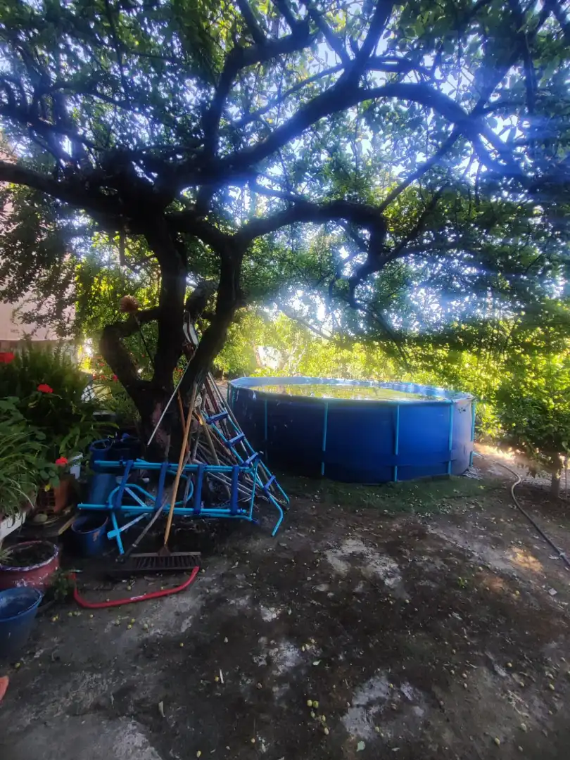 Terreni e lotti in vendita a Casas del Castañar, imagen 12