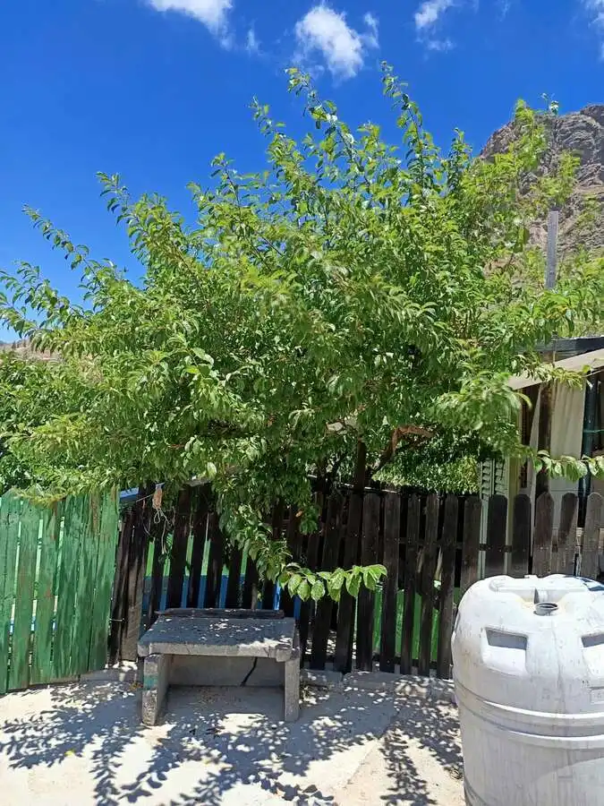 Jardí de Pis en venda en San Bartolomé Interior