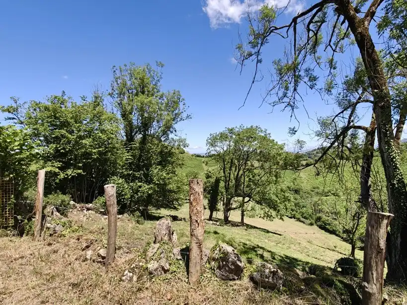 Terreno rustico in vendita a Proaza, imagen 17