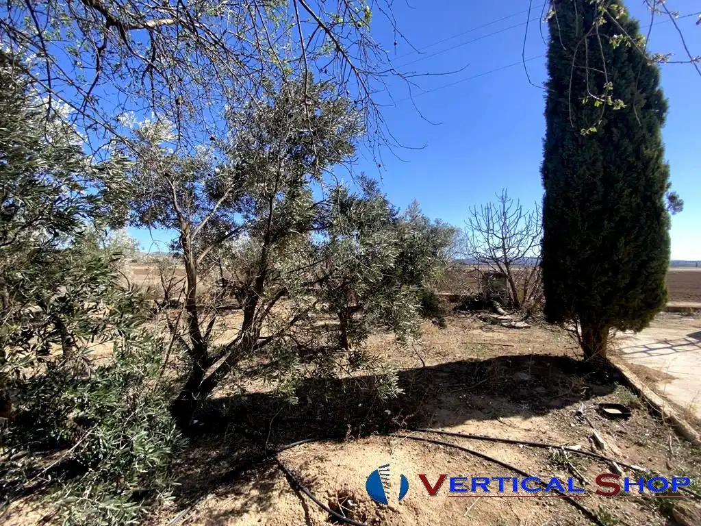 Xalet en venda a Carretera de  Villena, imagen 8