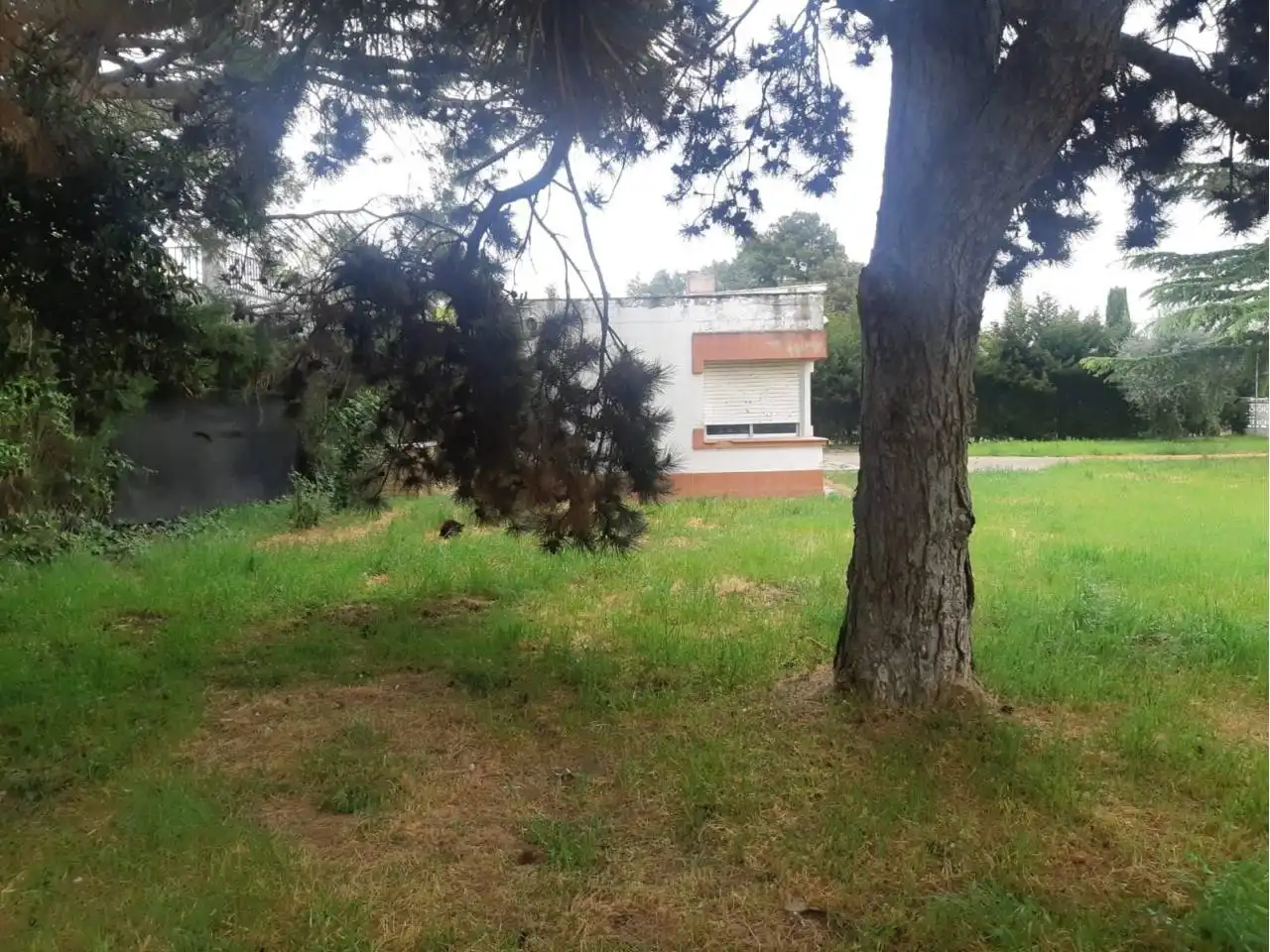 Rustikales Grundstück zum Verkauf in Alpicat, imagen 5