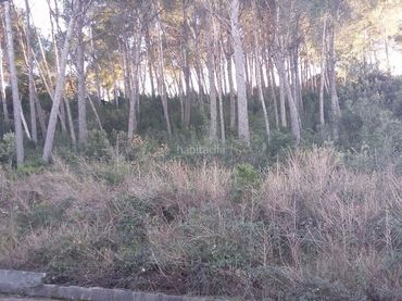 Terreno residencial en venta en Carrer Osona 118