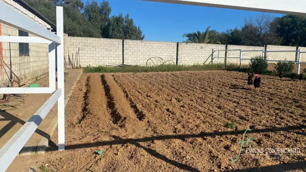 Casa amb piscina en venda a Oromana, imagen 33