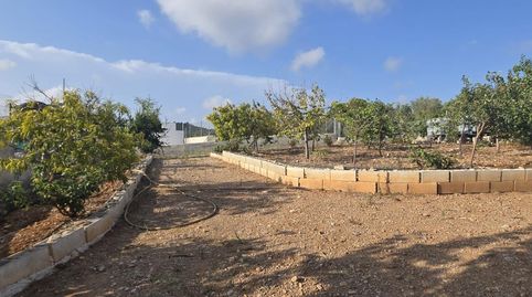 Foto 2 de Finca rústica en venda a Closa de Vinaròs - Ermita, Vinaròs