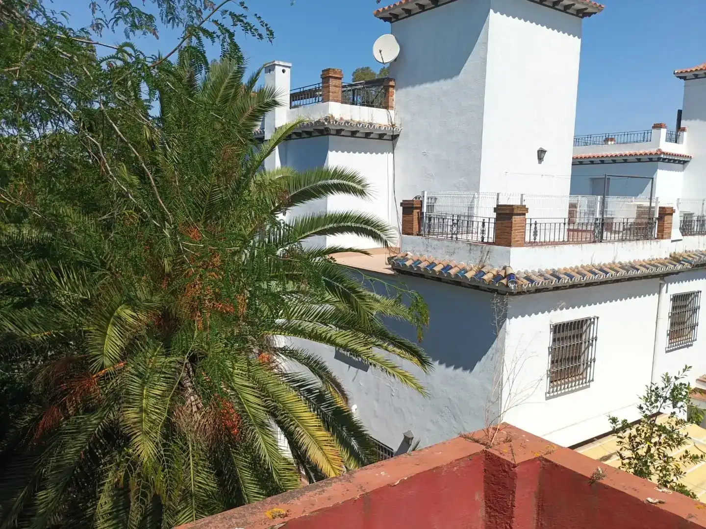 Exterior view of Flat for sale in Sevilla  with Private garden