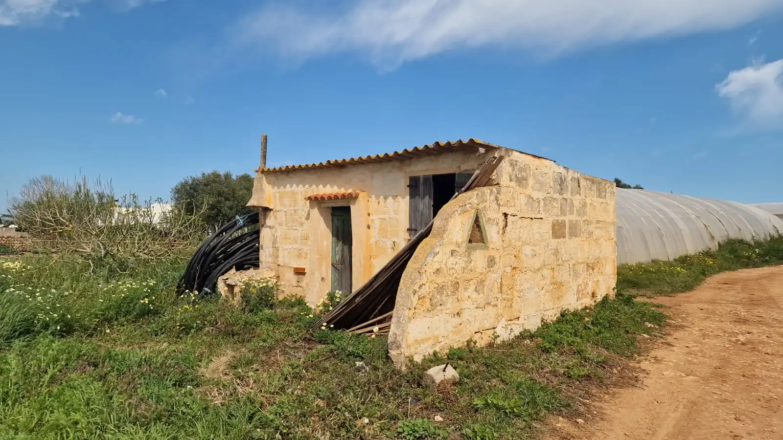 Rural land for sale in Ciutadella, imagen 5
