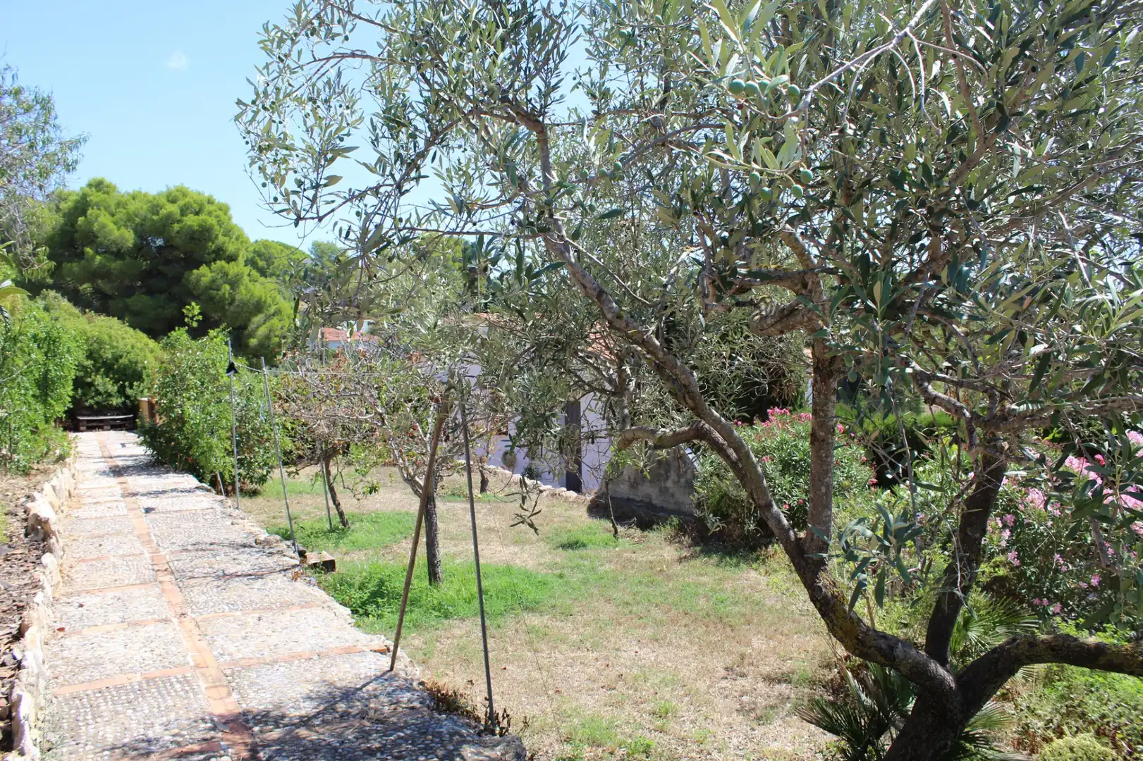 Jardín de Casa o chalet en venta en Vespella de Gaià con Jardín privado, Piscina y Amueblado