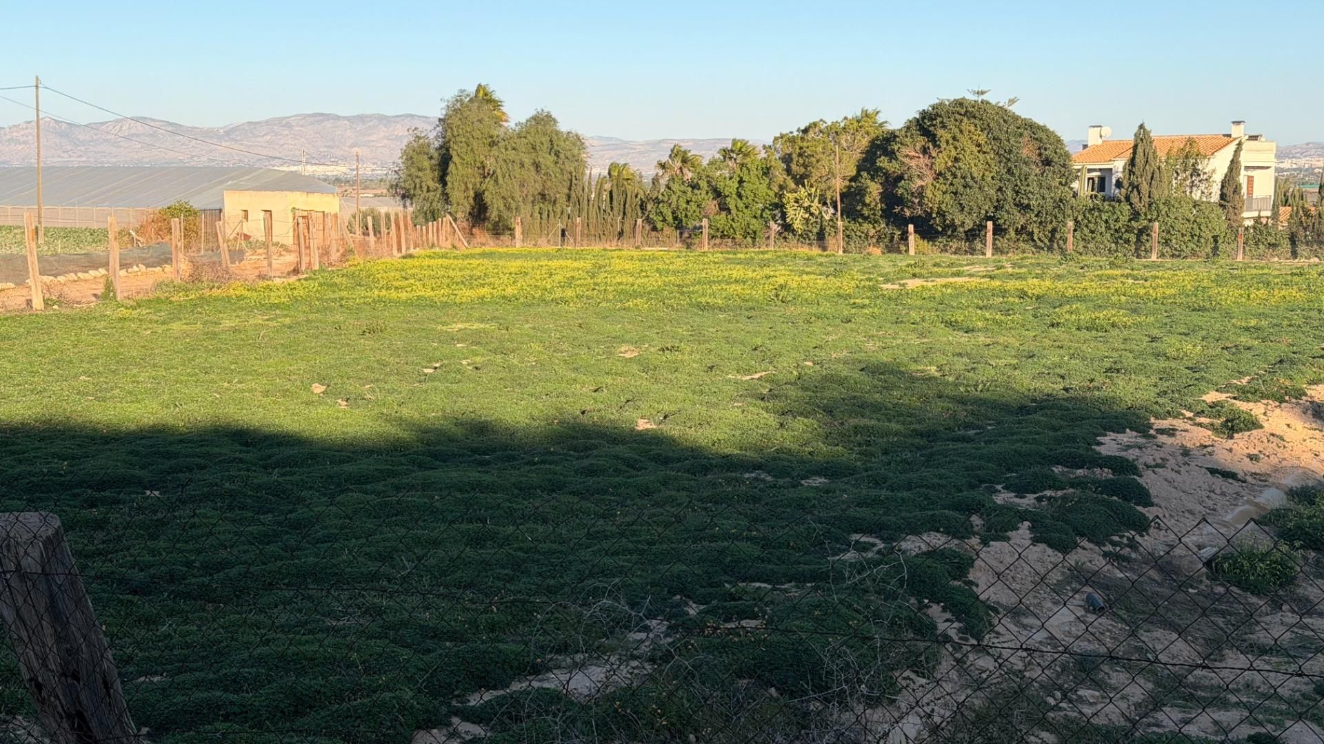 Residential for sale in Elche / Elx