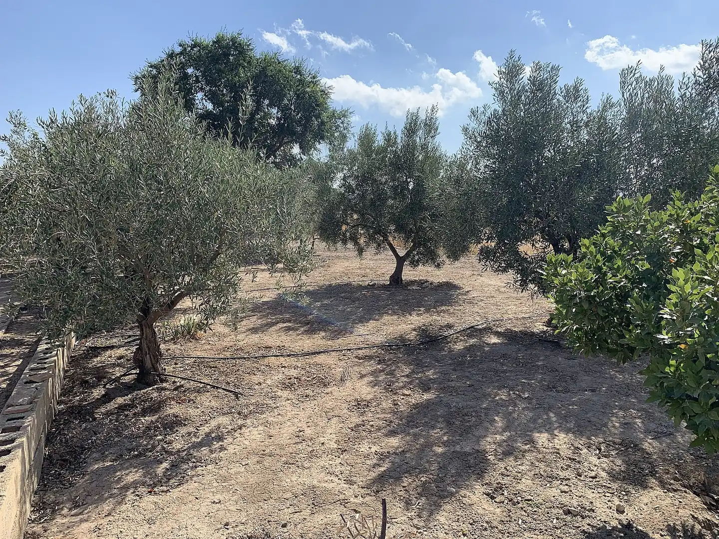 Casa o xalet en venda en Caudete amb Jardí privat i Internet