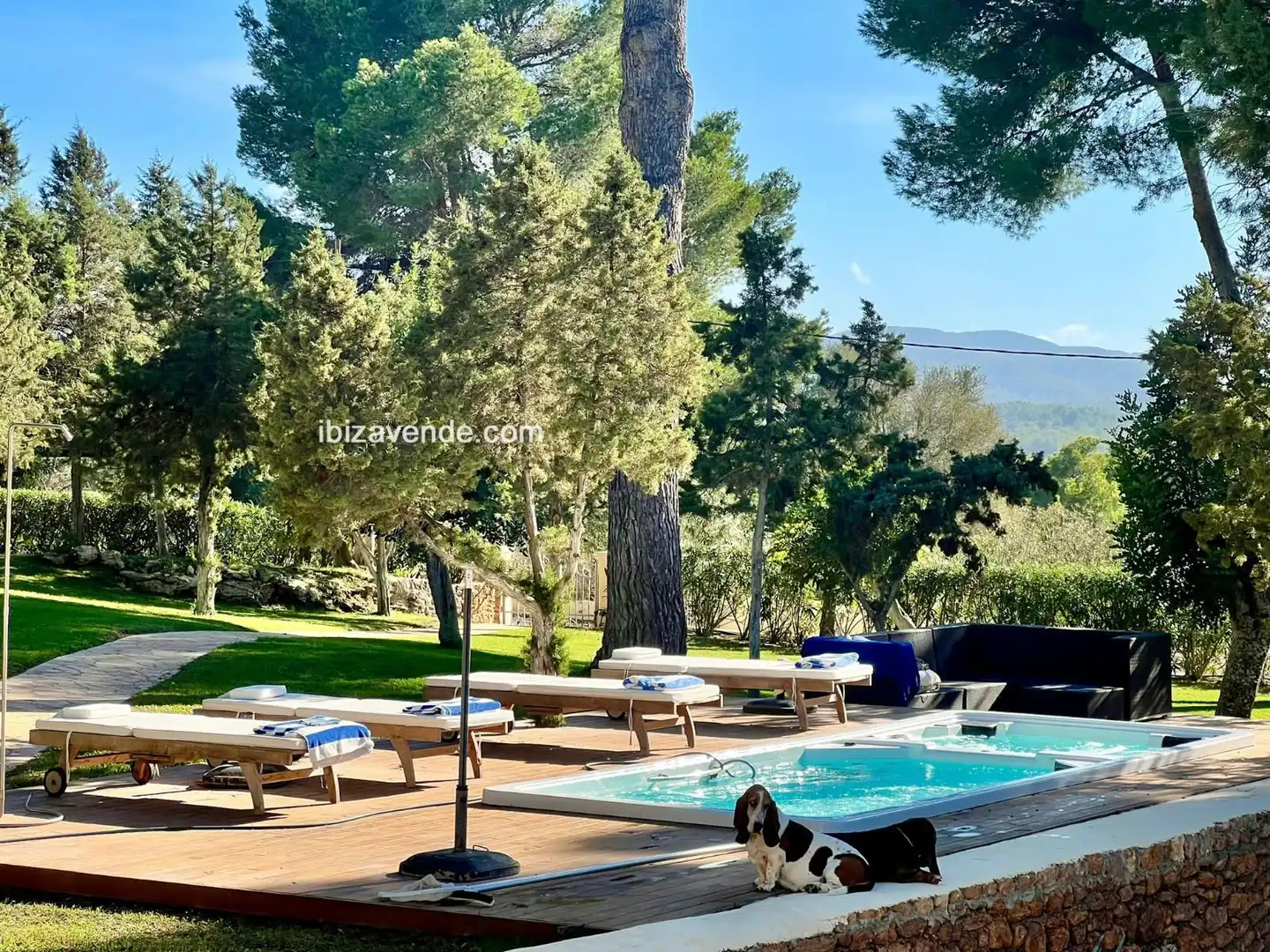 Villa con piscina in vendita a Avinguda Isidor Macabich, imagen 8