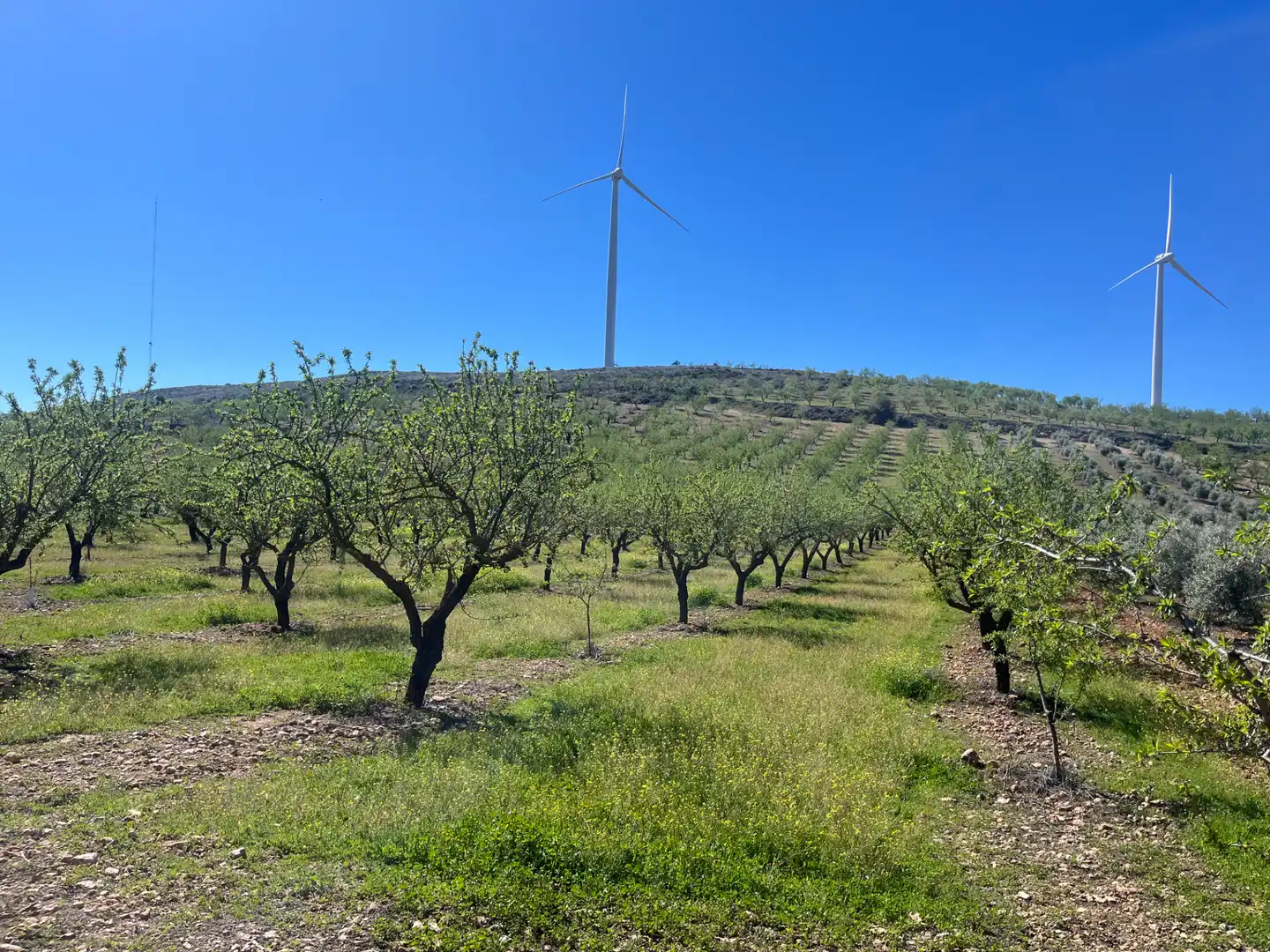 Rustikales Grundstück zum Verkauf in Camino de la Sierra, imagen 2