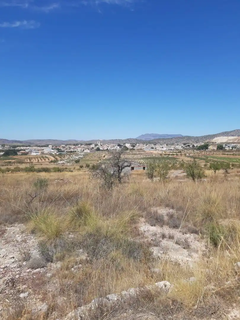 Casa o chalet en venta en Algueña