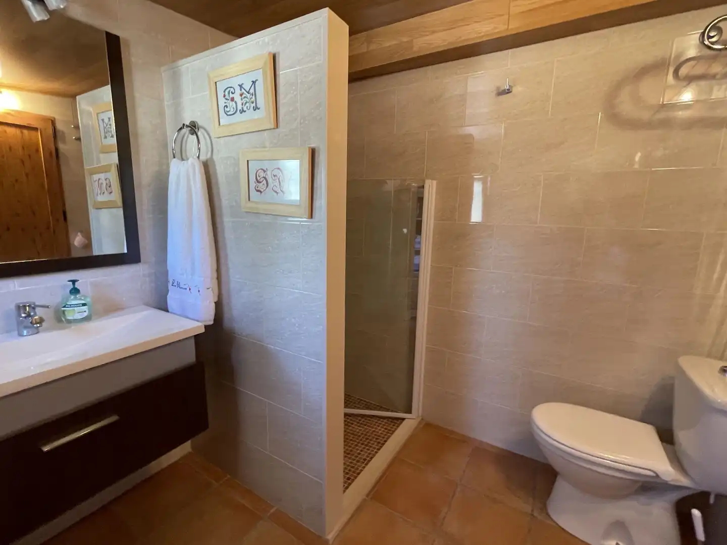 Casa con piscina en venta en Santa Ana, imagen 26