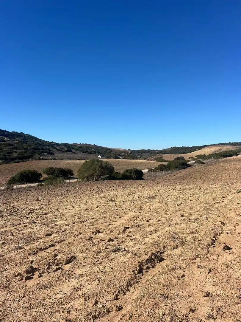 Terreny rústic en venda a Medina Sidonia, imagen 12