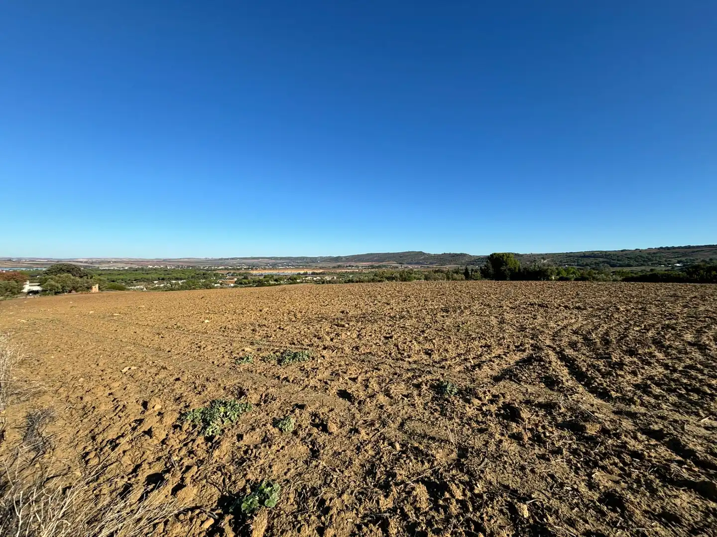 Terreny en venda en Arcos de la Frontera