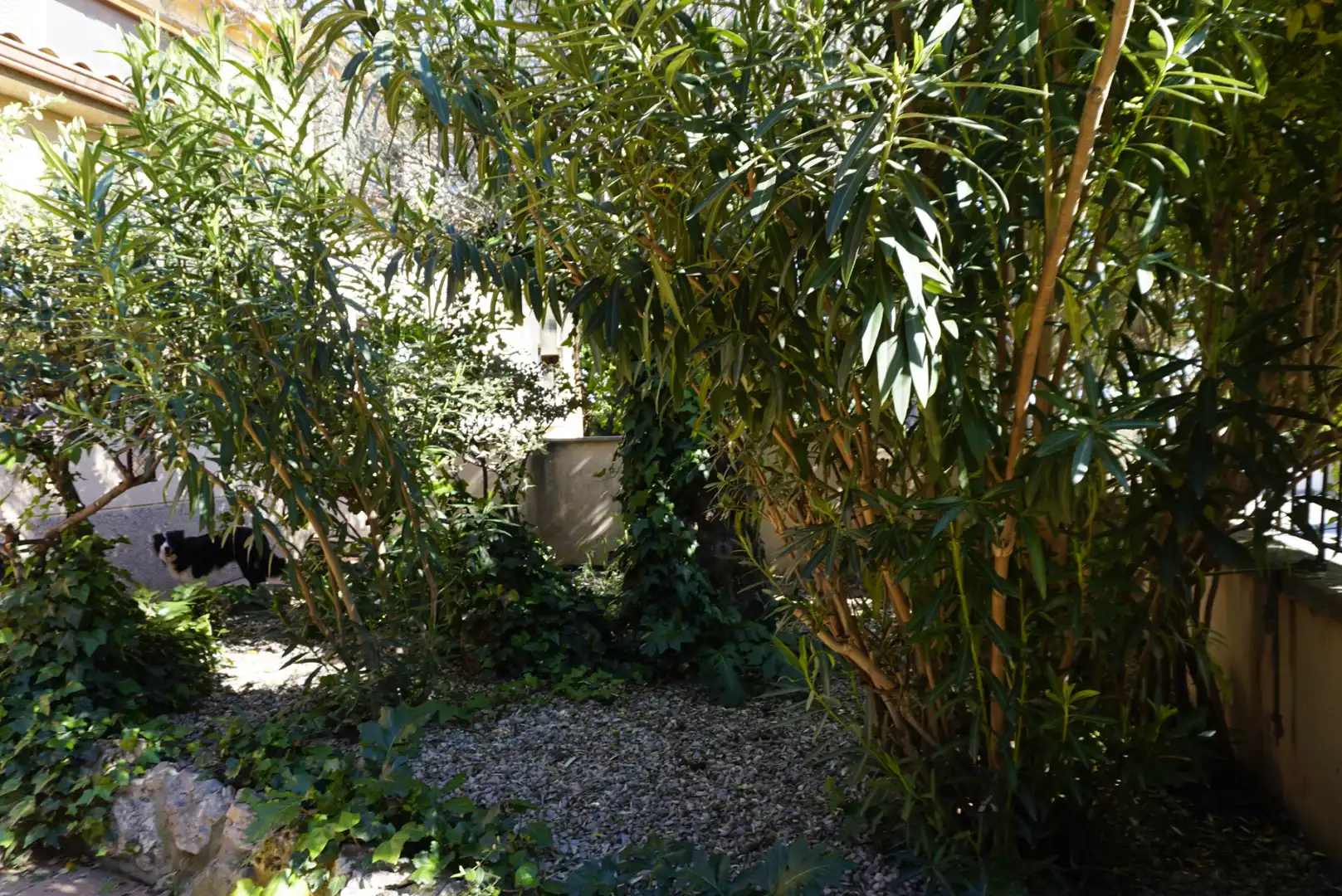Villa avec piscine à vendre à Collbató, imagen 88