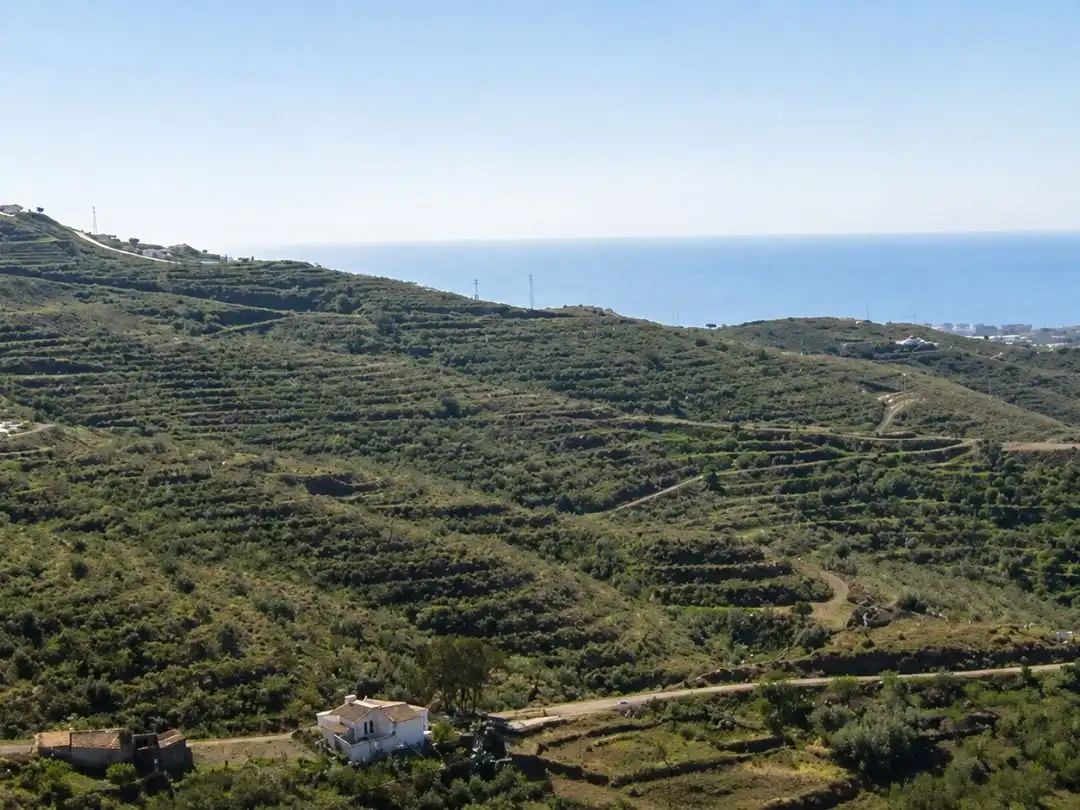 Lands and plots for sale in Camino de Vélez 17, imagen 2