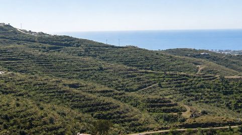 EN VENTA: terreno de 63 ha con vistas al mar cerca de Vélez-Málaga (6 €/m²), venta directa del propietario, imatge 2