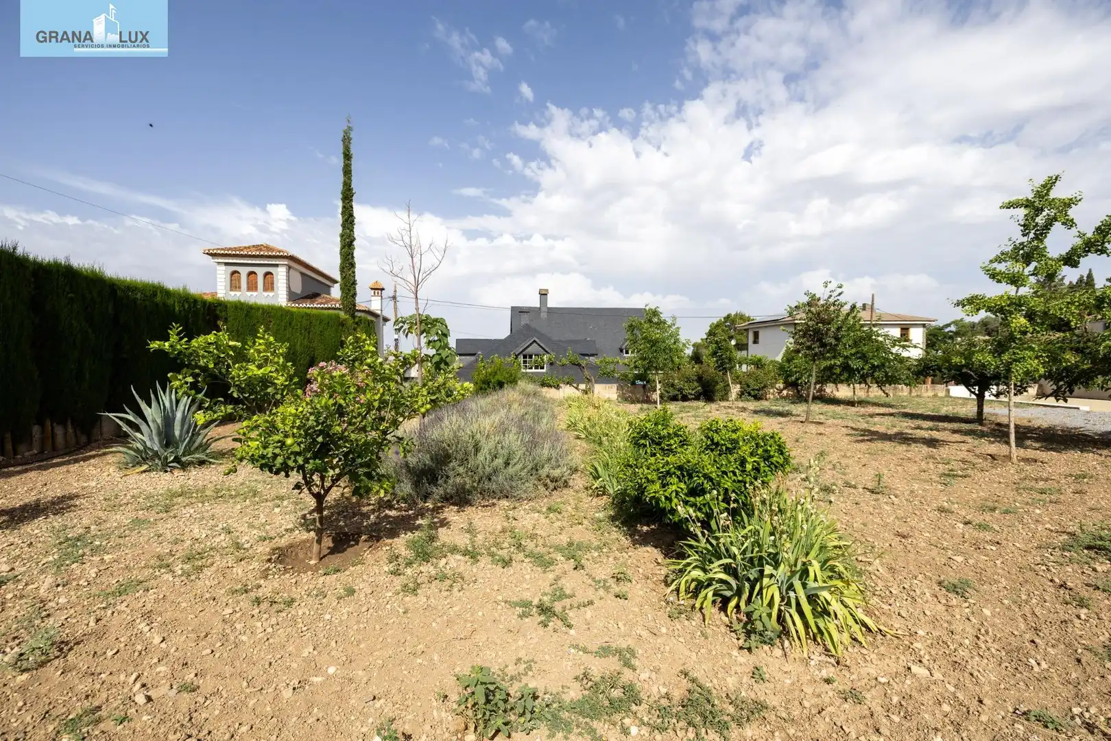 Lands and plots for sale in Calle Nueva, imagen 15