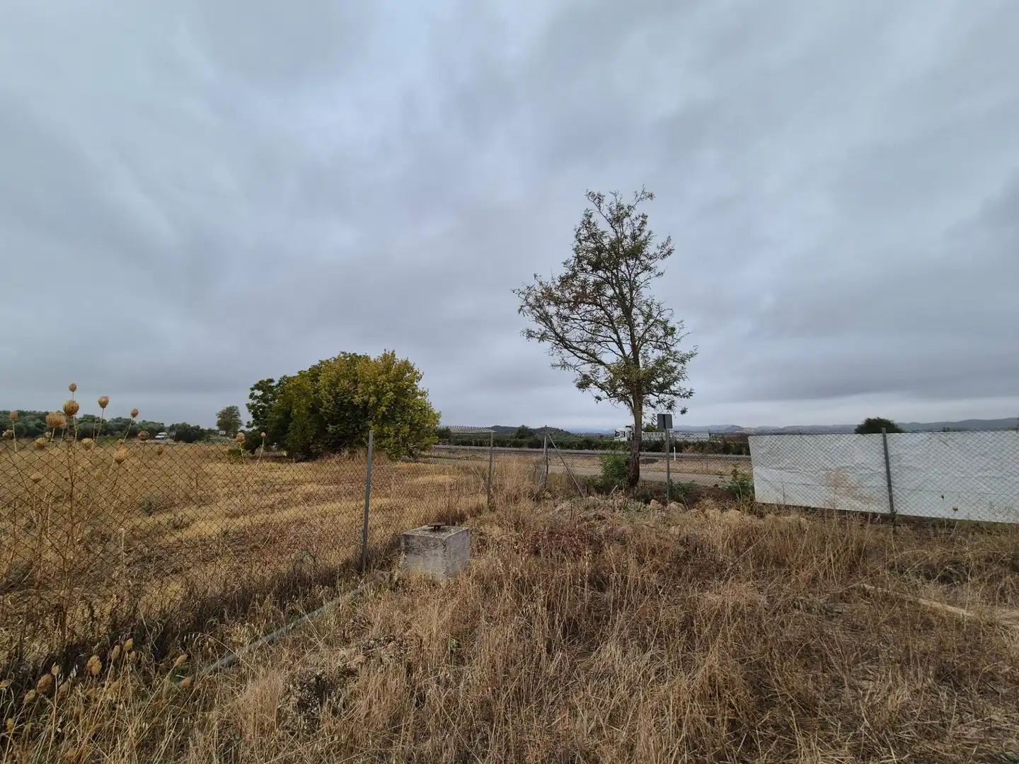 Terreny rústic en venda a El Carpio