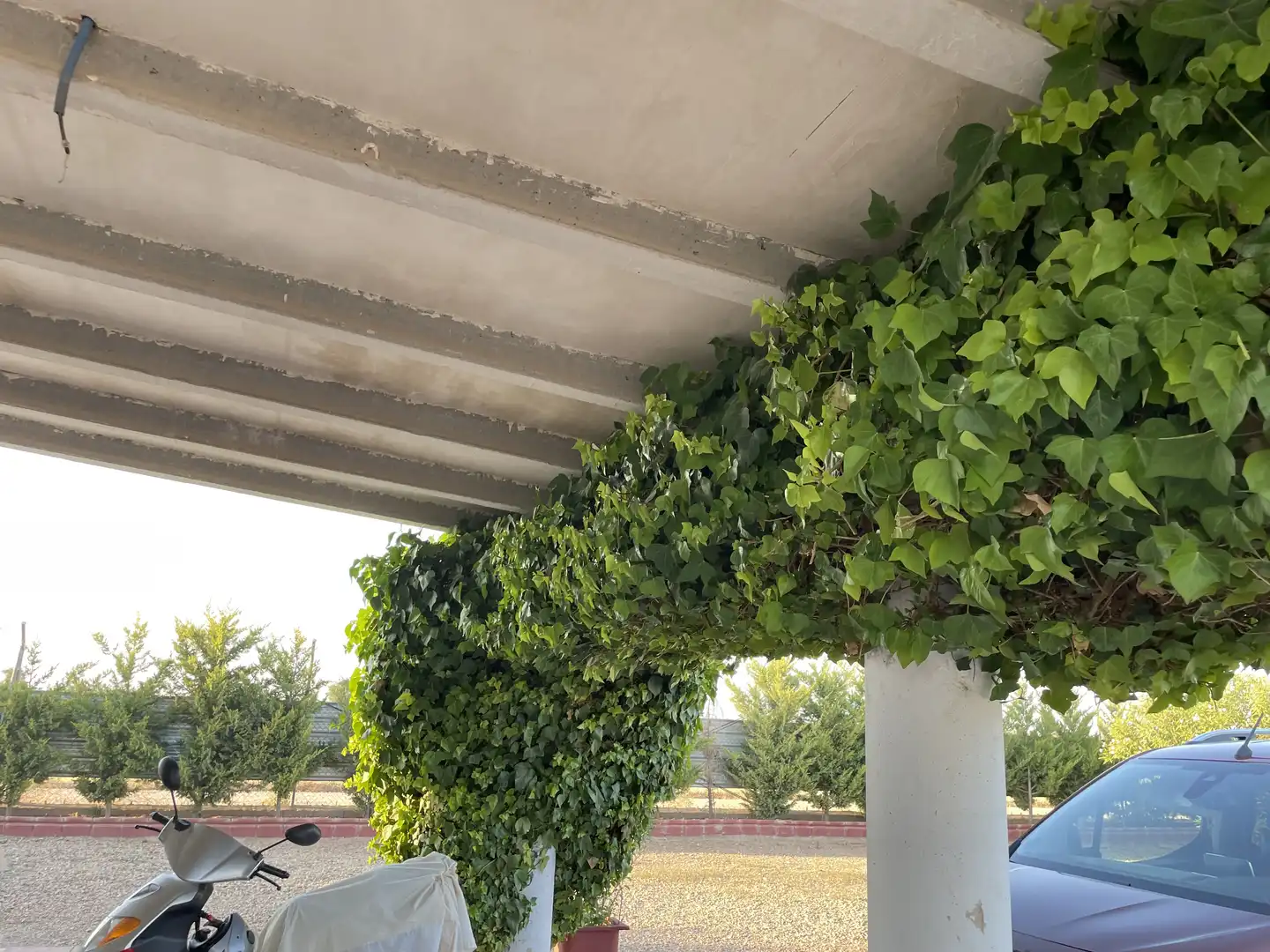 Xalet amb jardí en venda a CM-3109 38, imagen 20