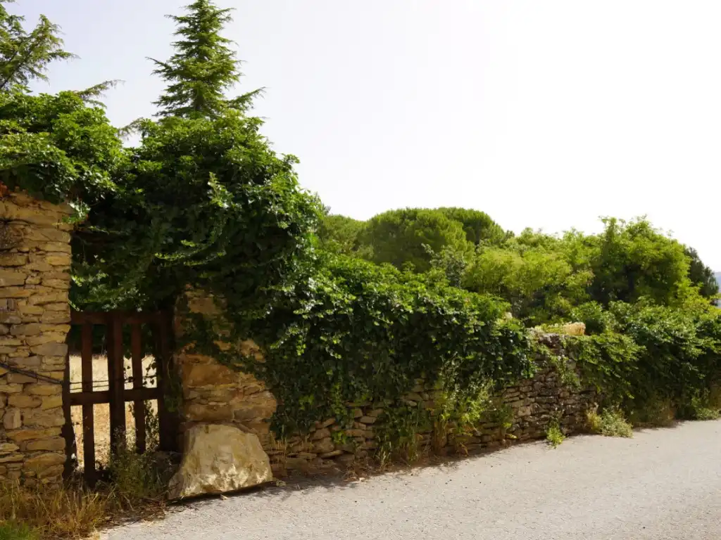 Terreni e lotti in vendita a Calle Alta (Lecina) 6