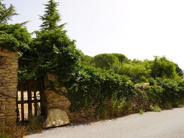 Terrain résidentiel à vendre à Calle Alta (Lecina) 6
