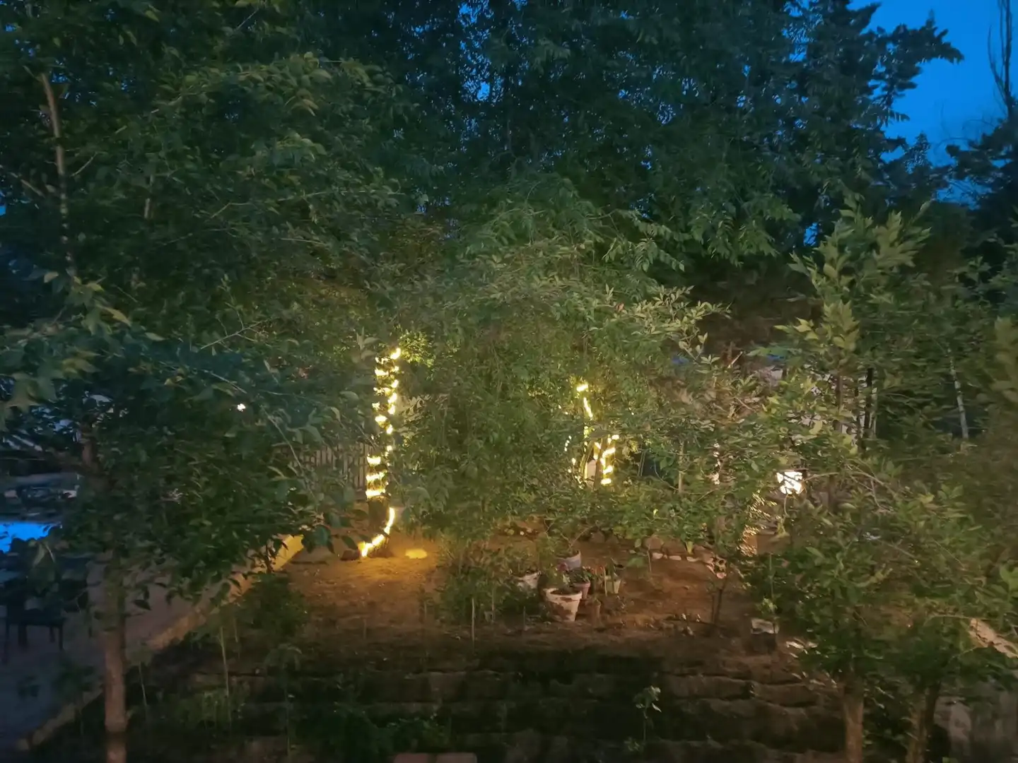 Jardí de Casa o xalet en venda en Piedrabuena amb Aire condicionat, Calefacció i Jardí privat