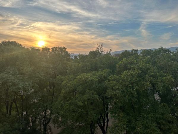 Pis de lloguer a Ciudad Jardín - Zoco