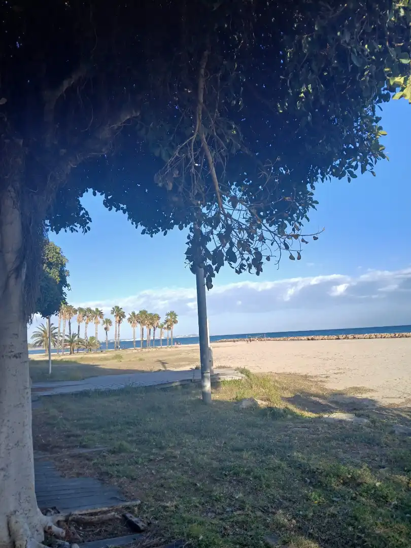 Vista exterior de Planta baja en venta en Cambrils con Aire acondicionado, Calefacción y Jardín privado